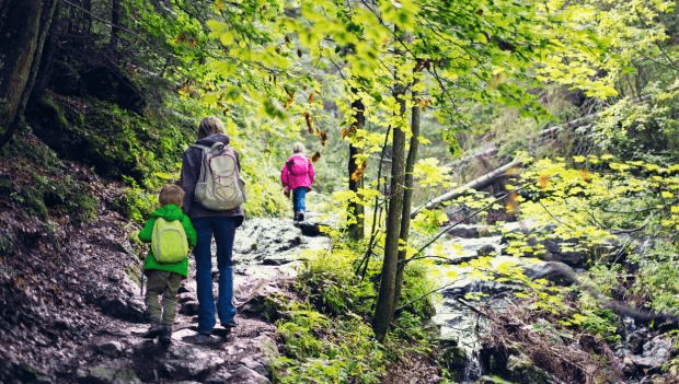 5 'Secret' Swimming Holes Within 20 Minutes of Our Gatlinburg Cabins
