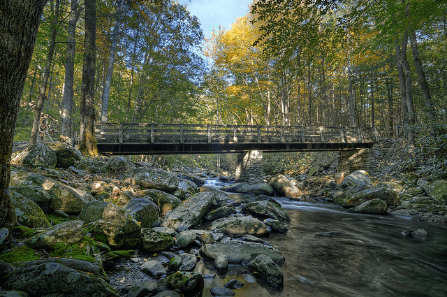 The Complete Guide to Greenbrier: Gatlinburg's Hidden National Park Entrance