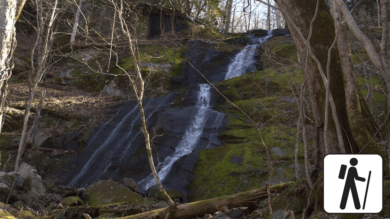 Fishing the Middle Prong of Little Pigeon River: A Greenbrier Guide