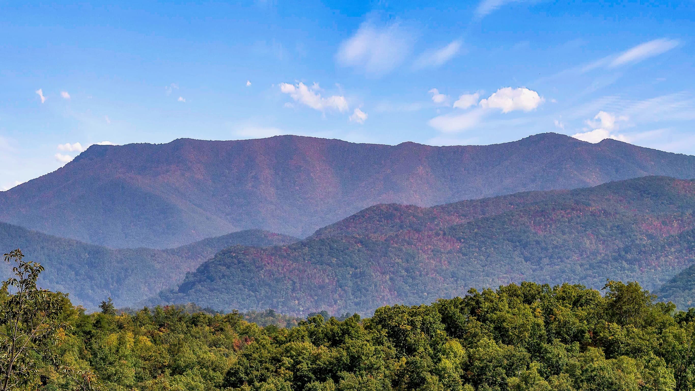 Picadilly Perch luxury cabin at Cobbly Nob Resort, Gatlinburg — photo 29
